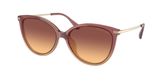 Michael Kors MK2184U DUPONT Sunglasses