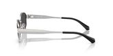 Michael Kors MK1161 MONTE CARLO Sunglasses