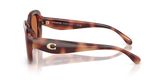 Coach HC8391U CR609 Sunglasses