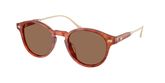 Coach HC8428U CAD83 Sunglasses