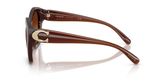 Coach HC8421U CAD31 Sunglasses
