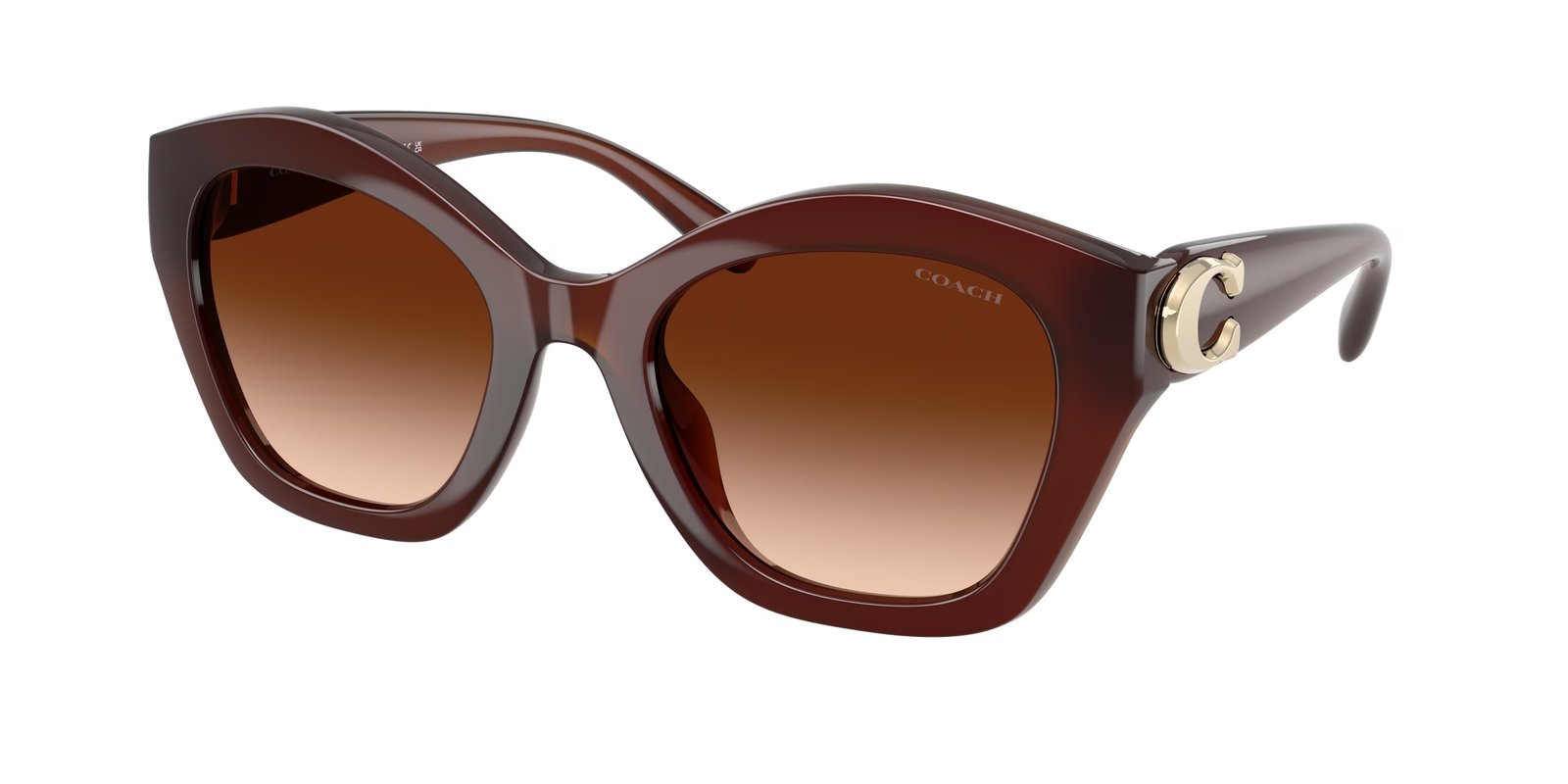 Coach HC8421U CAD31 Sunglasses