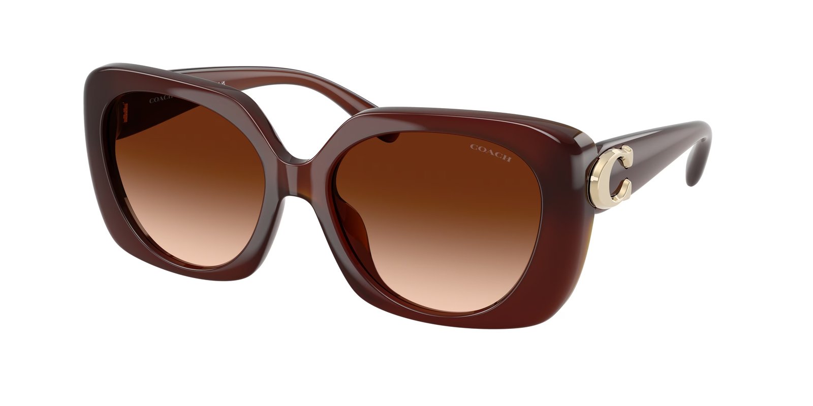 Coach HC8422U CAD33 Sunglasses