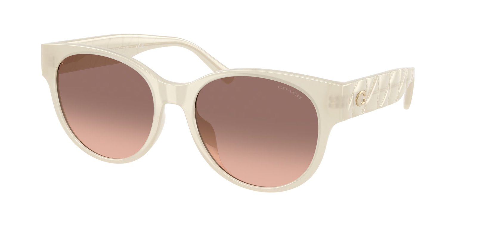 Coach HC8430D CAE87 Sunglasses
