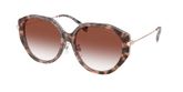 Michael Kors MK2248D JINAN Sunglasses