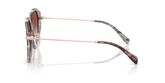 Michael Kors MK2248D JINAN Sunglasses