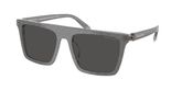 Michael Kors MK2249U EDGEWATER Sunglasses