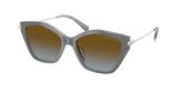 Michael Kors MK2246U CATSKILLS Sunglasses