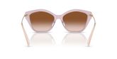 Michael Kors MK2246U CATSKILLS Sunglasses