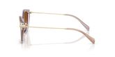 Michael Kors MK2246U CATSKILLS Sunglasses