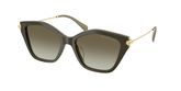 Michael Kors MK2246U CATSKILLS Sunglasses