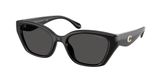 Coach HC8434U CBY91 Sunglasses