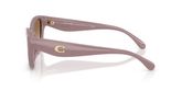 Coach HC8434U CBY91 Sunglasses