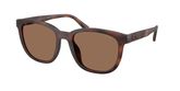 Coach HC8442U CCA00 Sunglasses