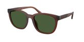 Coach HC8442U CCA00 Sunglasses
