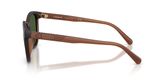Coach HC8442U CCA00 Sunglasses