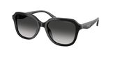 Coach HC8437F CBY89 Sunglasses
