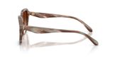 Coach HC8437F CBY89 Sunglasses