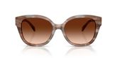 Coach HC8438U CBY94 Sunglasses