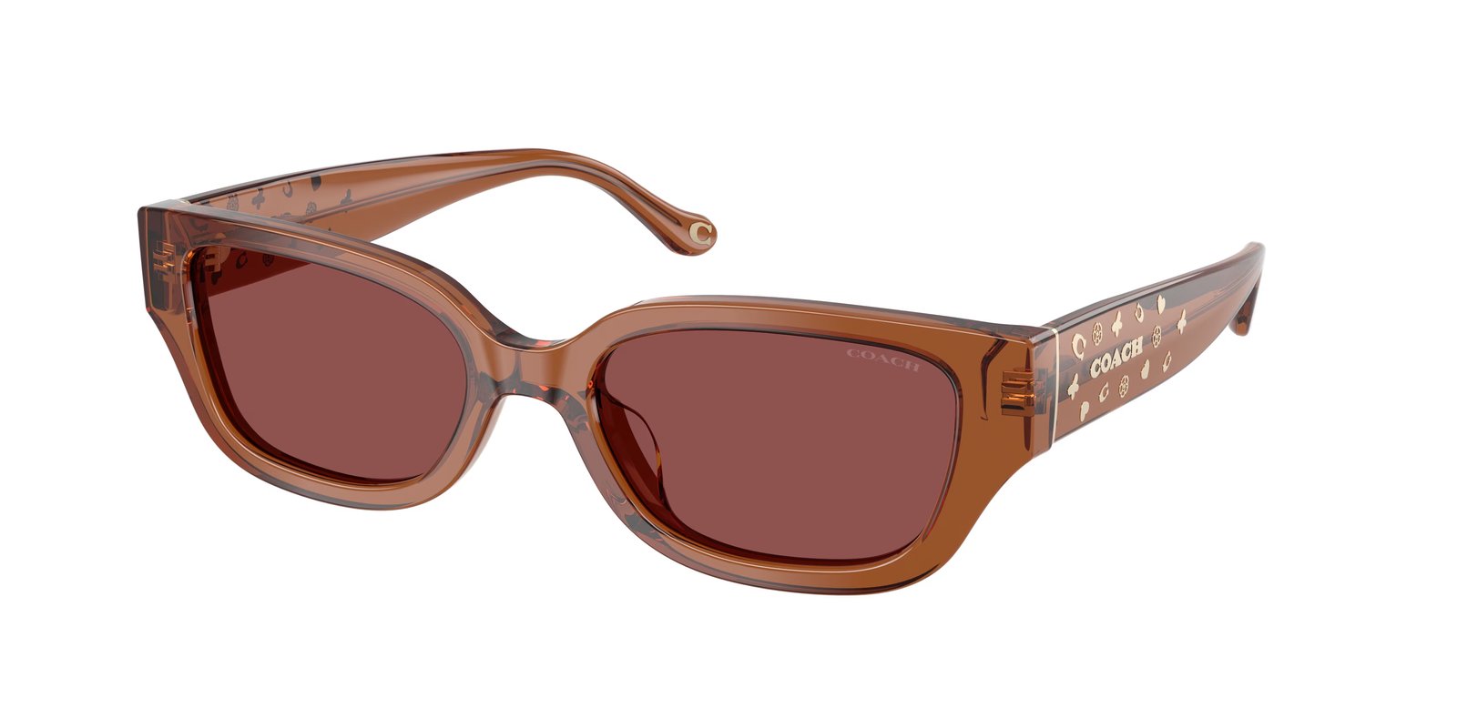 Coach HC8439U CBZ52 Sunglasses