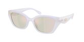 Coach HC8434U CBY91 Sunglasses