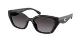 Coach HC8434U CBY91 Sunglasses