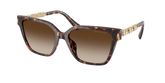 Michael Kors MK2263U PIEDMONT Sunglasses