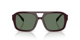 Tory Burch TY7224U Sunglasses