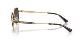 Michael Kors MK1176 DANA POINT Sunglasses