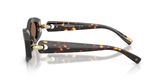 Tory Burch TY7222U Sunglasses