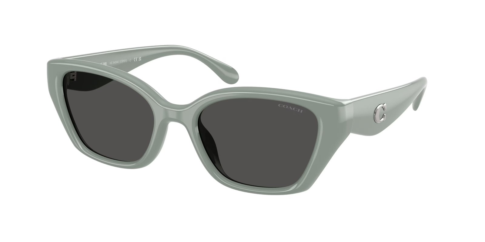 Coach HC8434U CBY91 Sunglasses