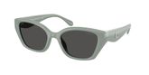 Coach HC8434U CBY91 Sunglasses