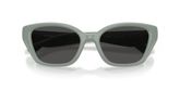 Coach HC8434U CBY91 Sunglasses