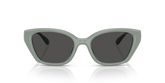 Coach HC8434U CBY91 Sunglasses