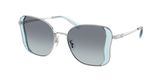 Coach HC7188 CDP51 Sunglasses