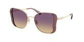 Coach HC7188 CDP51 Sunglasses