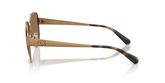 Coach HC7186 CDP37 Sunglasses