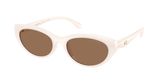 Coach HC8456D CDP42 Sunglasses