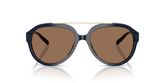Tory Burch TY7230U Sunglasses