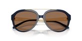 Tory Burch TY7230U Sunglasses