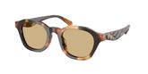 Tory Burch TY7235D Sunglasses