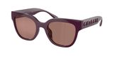 Coach HC8460U CFT88 Sunglasses