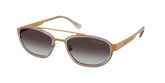 Michael Kors MK1189 SUFFOLK Sunglasses