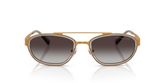Michael Kors MK1189 SUFFOLK Sunglasses