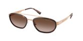 Michael Kors MK1189 SUFFOLK Sunglasses