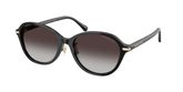 Michael Kors MK2289D DEHLI Sunglasses