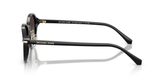 Michael Kors MK2289D DEHLI Sunglasses