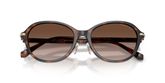 Michael Kors MK2289D DEHLI Sunglasses