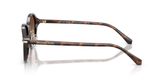 Michael Kors MK2289D DEHLI Sunglasses
