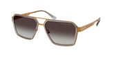 Michael Kors MK1188 OXFORD Sunglasses